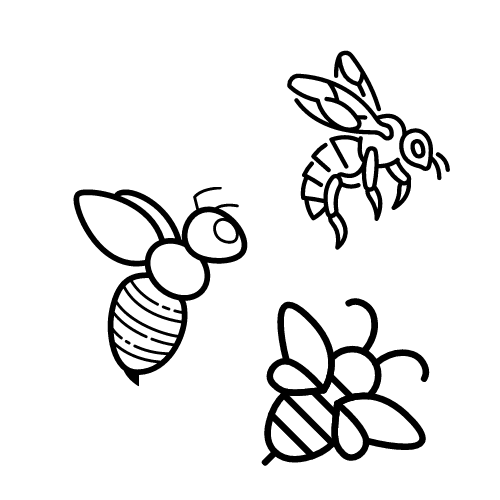 hornets bees and wasps